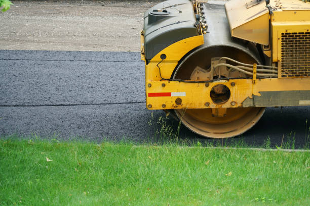 Best Custom Driveway Pavers  in Danvers, IL